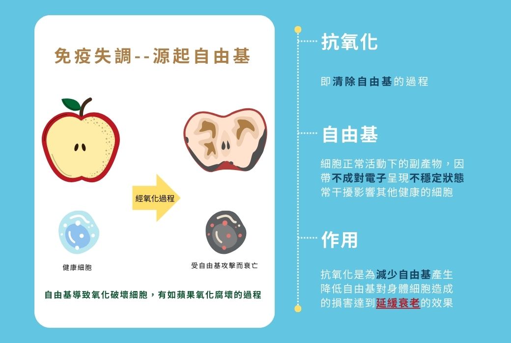 氫分子,抗衰老,青春秘笈,超強抗氧化,細胞守護,抗炎作用,能量代謝,大腦保護,氫水,氫氣水,氫氣,氫片,保健品