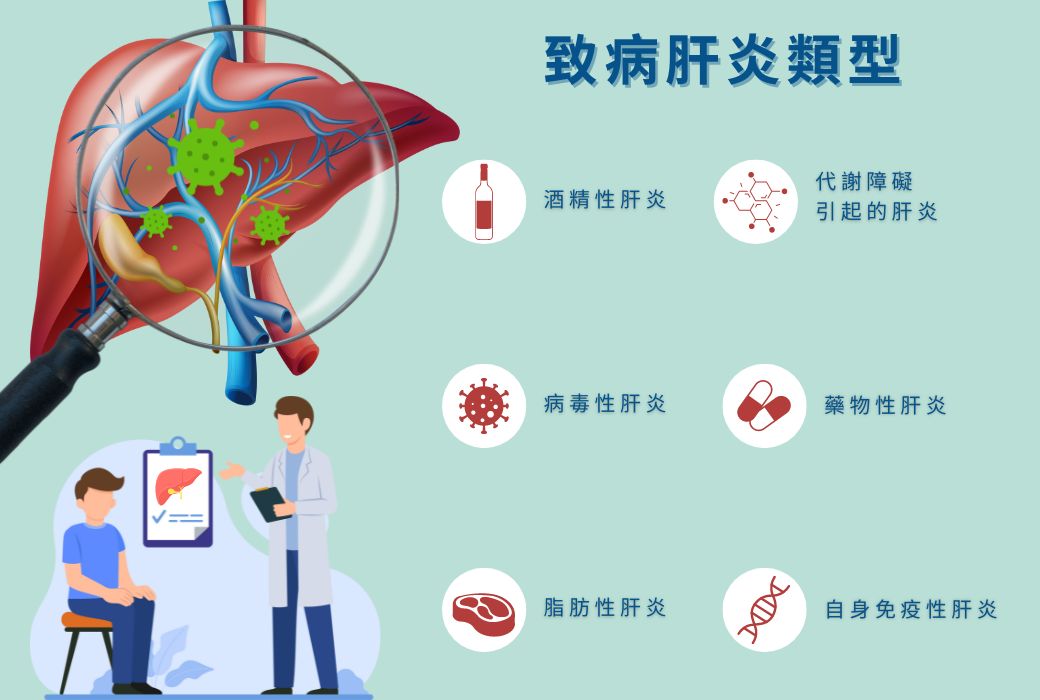 肝炎,肝炎病毒,公共衛生問題,世界衛生組織,WHO,病毒性肝炎,肝炎報告,肝臟健康,肝細胞癌,氫分子,氫氣醫學,抗氧化,抗炎症,粒線體,治療炎症,健康治療,日本醫科大學